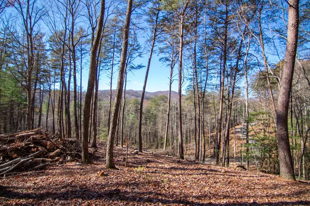 150 Clay's Way, Blue Ridge, GA 30513 - #1