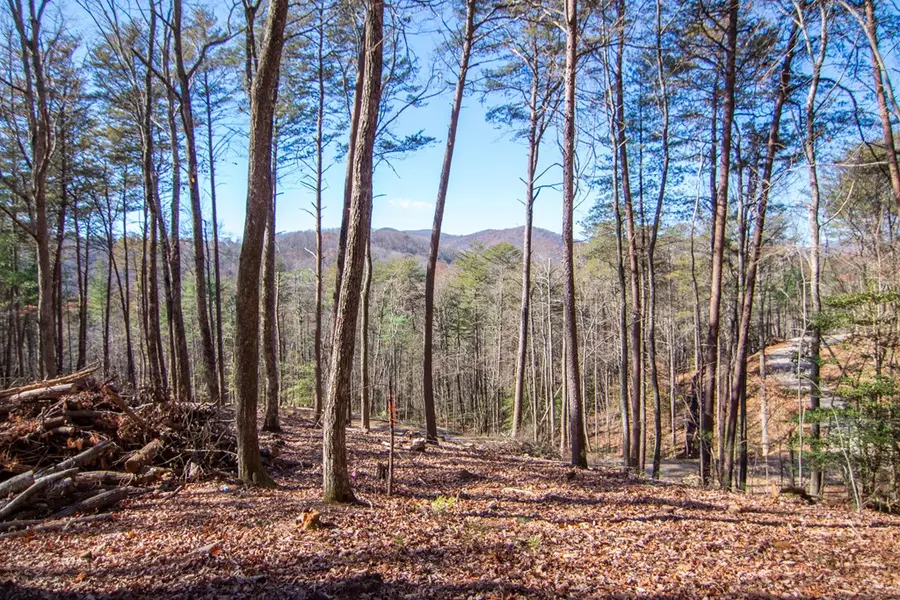 150 Clay's Way, Blue Ridge, GA 30513 - #2