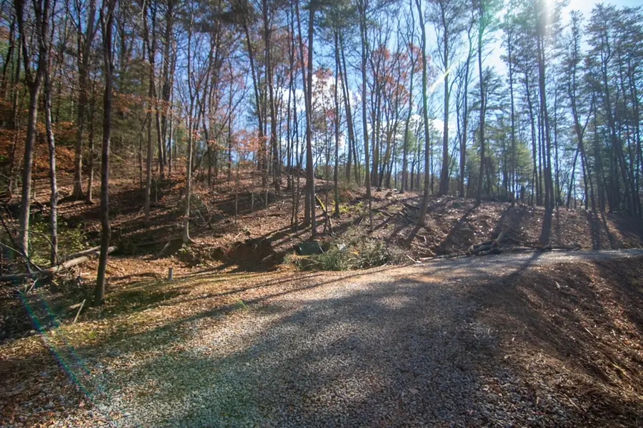 150 Clay's Way, Blue Ridge, GA 30513 - #3
