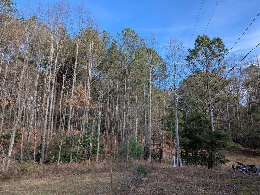 LT 2 Mr Bert Road, Hiawassee, GA 30548 - #3