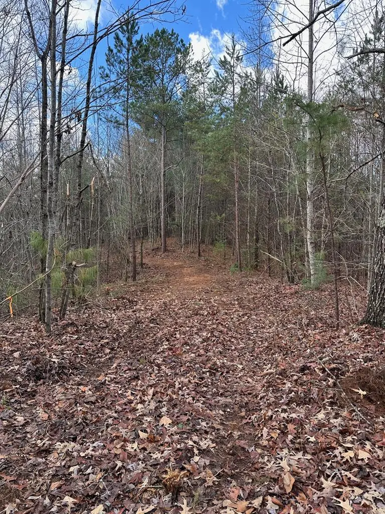 0000 Kimsey Dairy Road, Turtletown, TN 37391 - Image #3