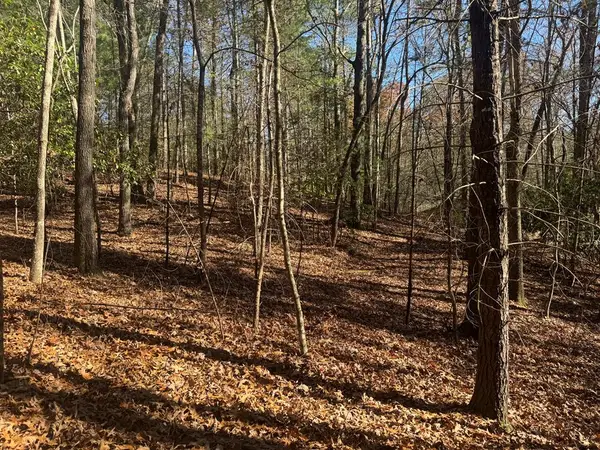 1982 Pinelog Church Road, Brasstown, NC 28902