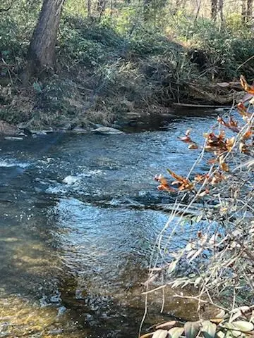 1918 Creekstone Lane, Young Harris, GA 30582