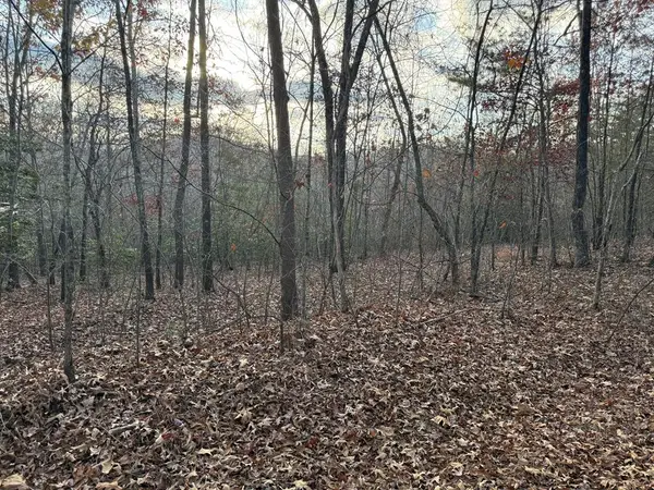 28/32 Stuart Ridge Road, Mineral Bluff, GA 30559