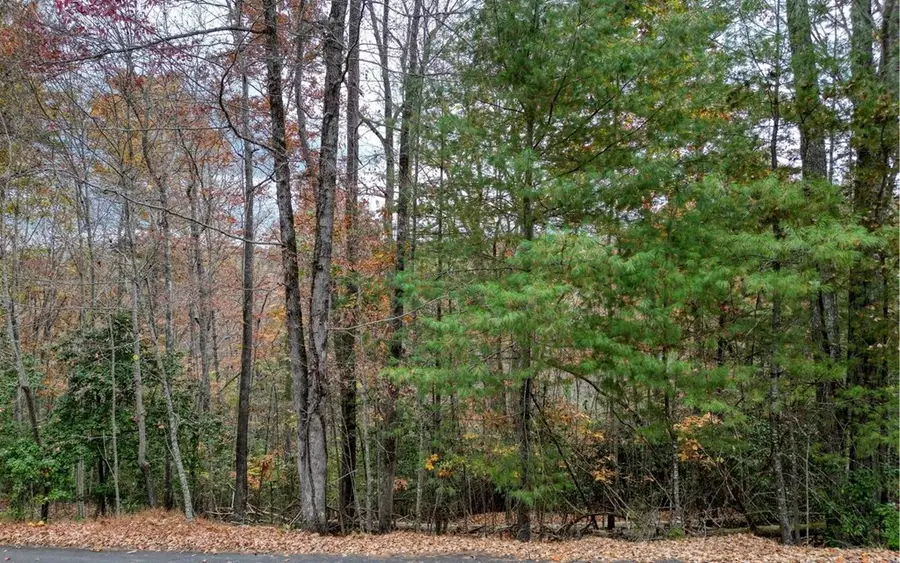 LT 10 Amy Lynn Drive, Blairsville, GA 30512 - Image #2