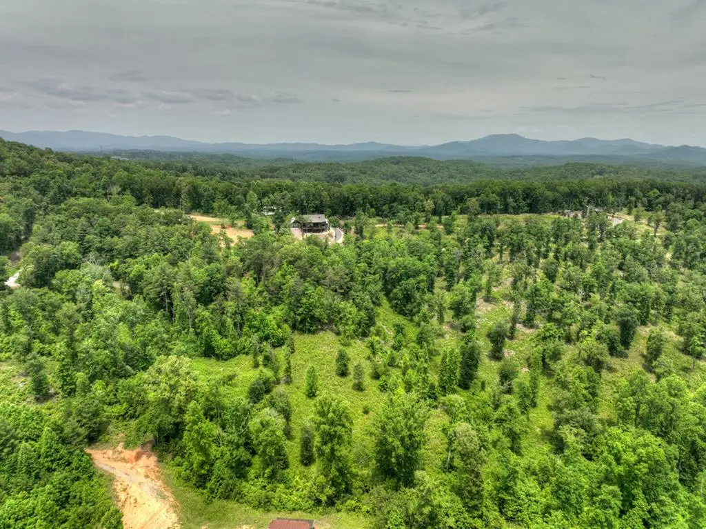 LOT 13 Hidden Acres, Blue Ridge, GA 30513 - #1