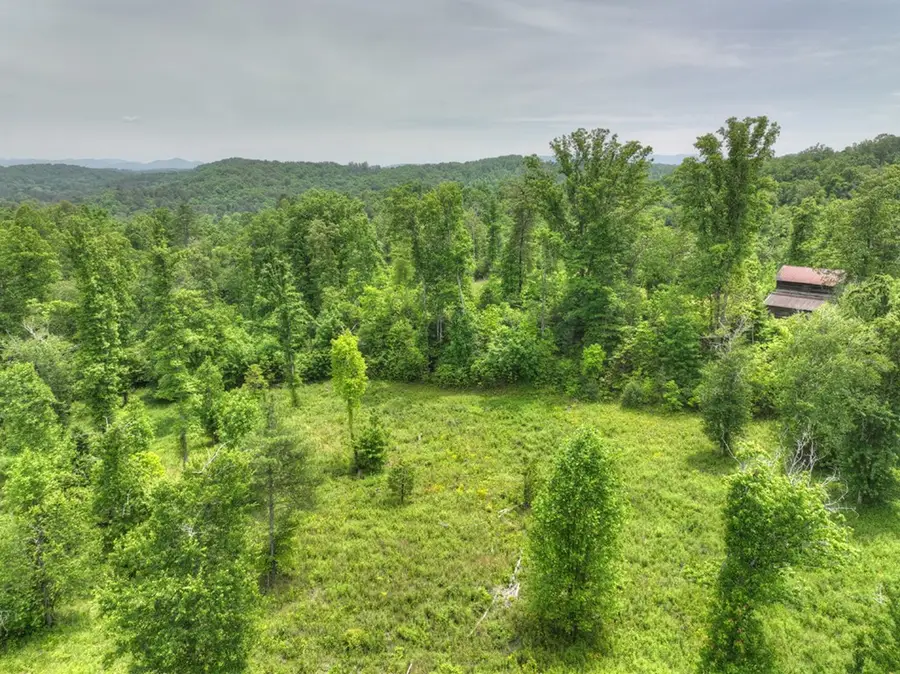 LOT 13 Hidden Acres, Blue Ridge, GA 30513 - #2