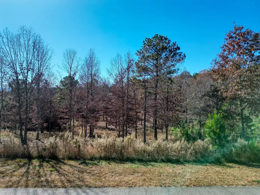 Lt 52-53 Village Loop, Blairsville, GA 30512 - Image #3