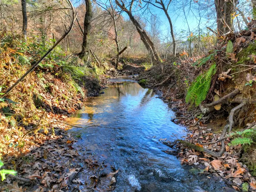 5491 Hardscrabble Road, Mineral Bluff, GA 30559 - Image #2