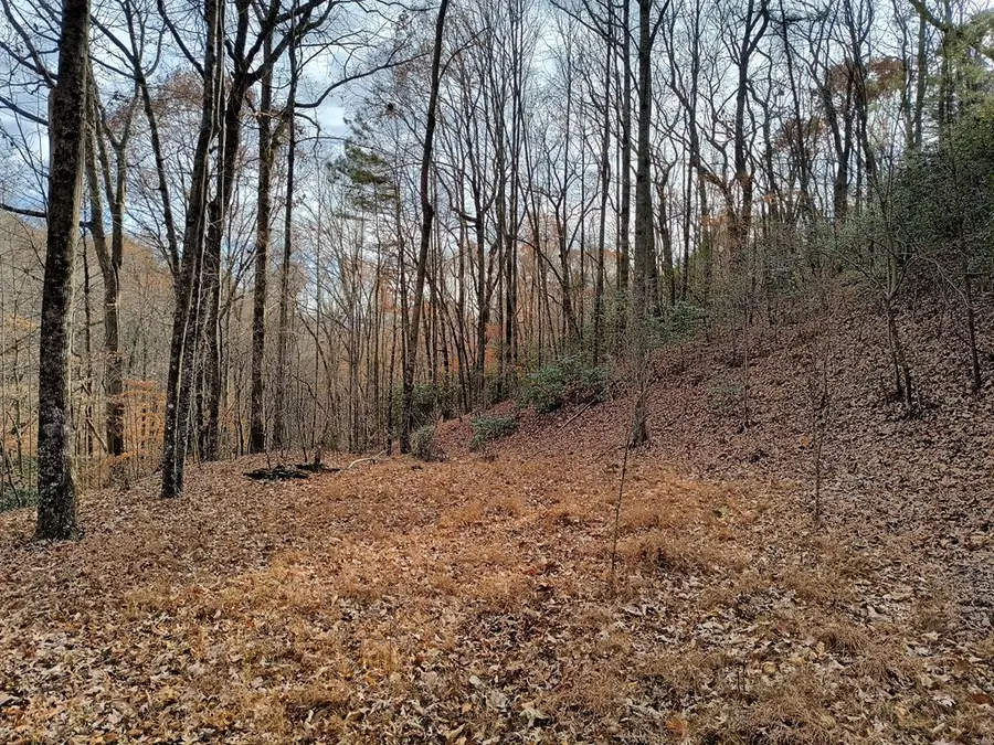 Lot 10 Cherokee Circle, Ellijay, GA 30536 - Image #2