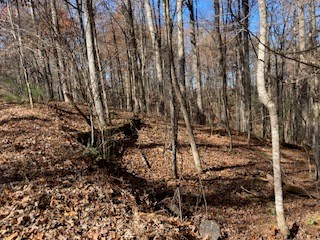 Lot 260 Catawba Circle, Ellijay, GA 30540 - Image #3