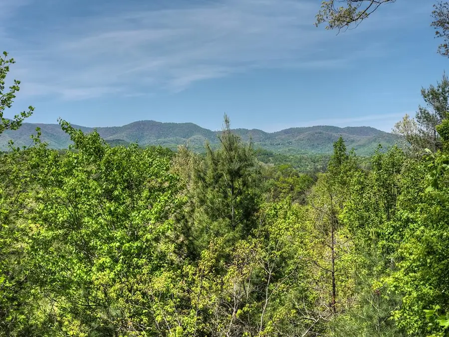 89 N Whitepath Circle, Ellijay, GA 30540 - #2