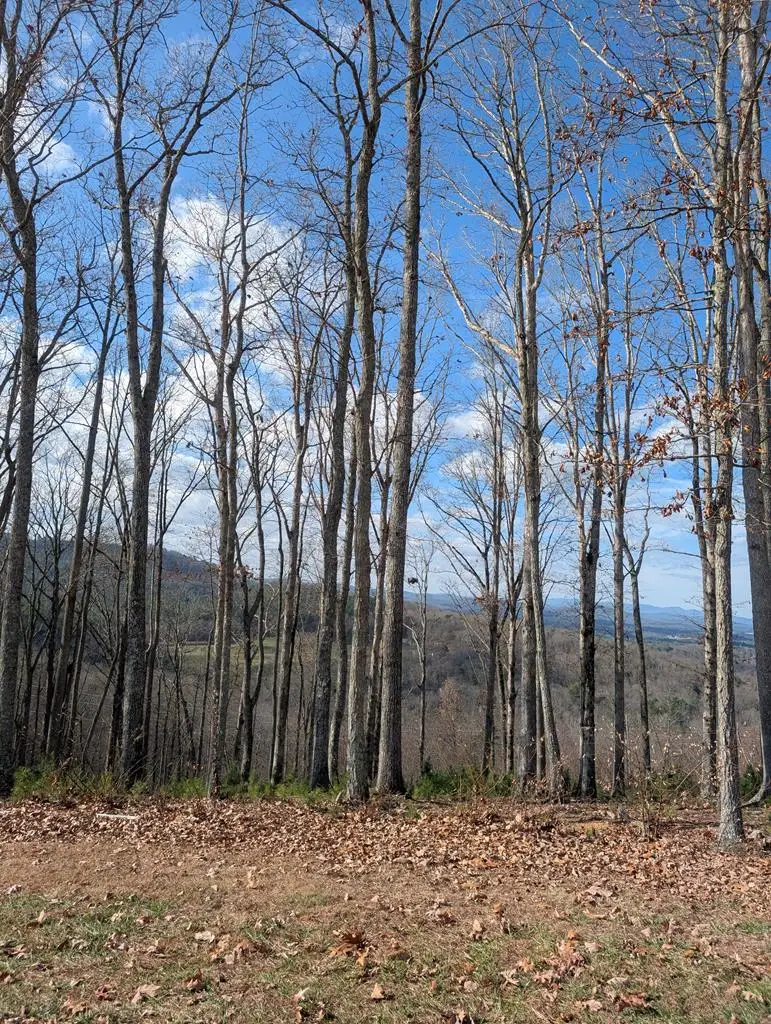 Lot 91 Winding Ridge, Blairsville, GA 30512 - Image #1