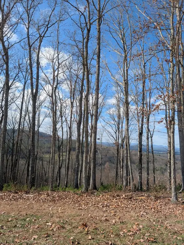 Lot 91 Winding Ridge, Blairsville, GA 30512
