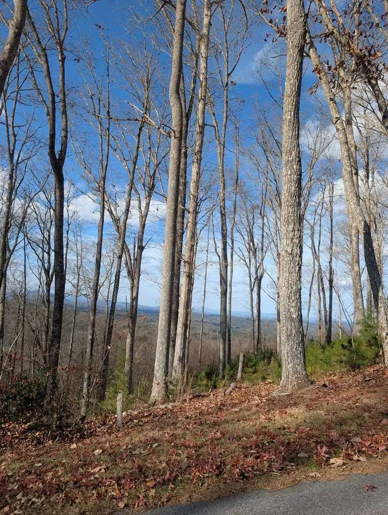 Lot 91 Winding Ridge, Blairsville, GA 30512 - Image #2