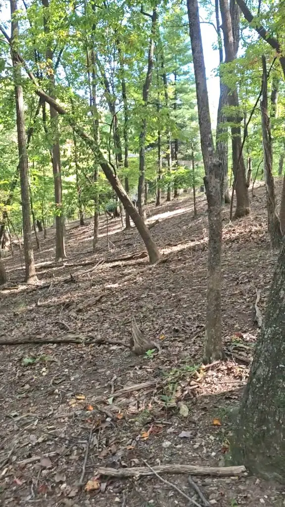 315 Windflower Drive, Big Canoe, GA 30534 - #3