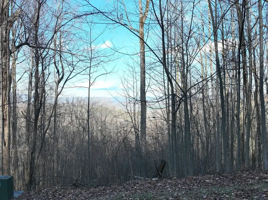 281 Andes Ridge, Ellijay, GA 30536 - #2