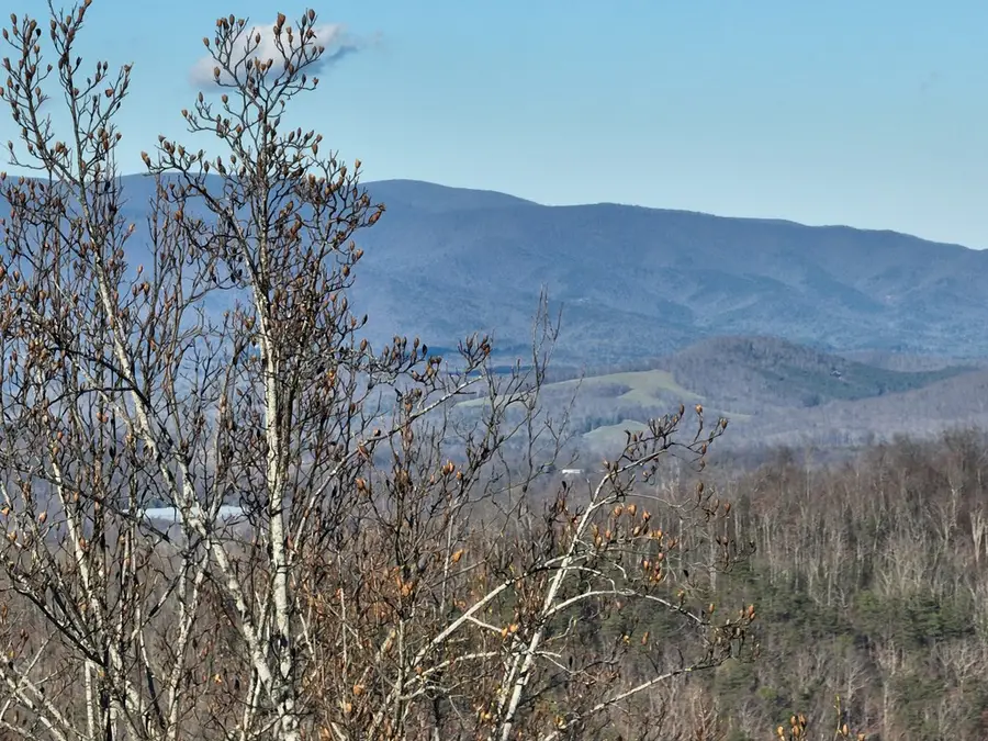 281 Andes Ridge, Ellijay, GA 30536 - #3