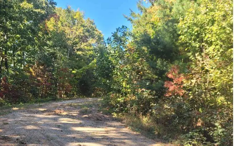 43.91 Old Burnt Mountain Road, Ellijay, GA 30540 - Image #3