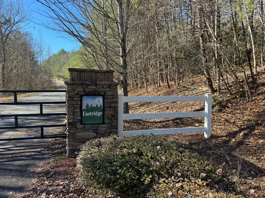 Lot 32 East Ridge Lane, Ellijay, GA 30536 - Image #2