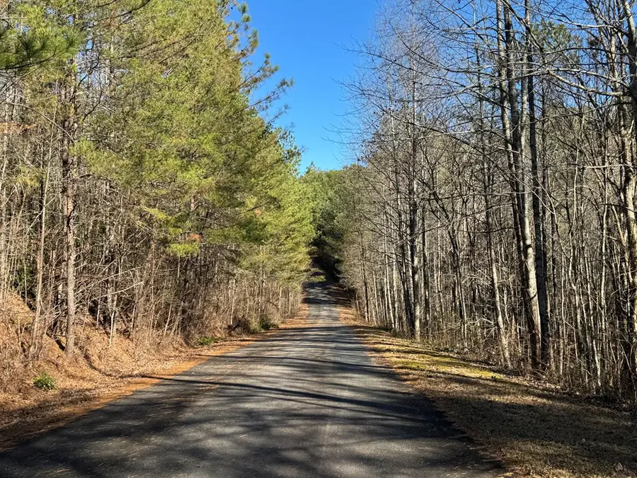Lot 32 East Ridge Lane, Ellijay, GA 30536 - Image #3