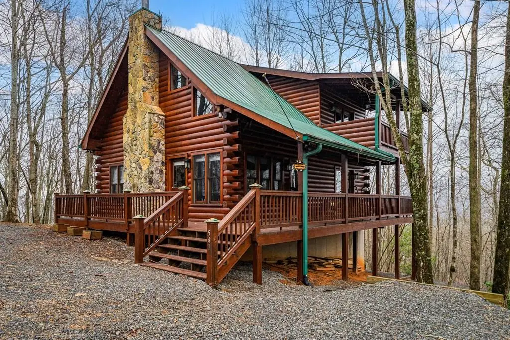 541 Little Bushy Head Road, Cherry Log, GA 30522 - #1