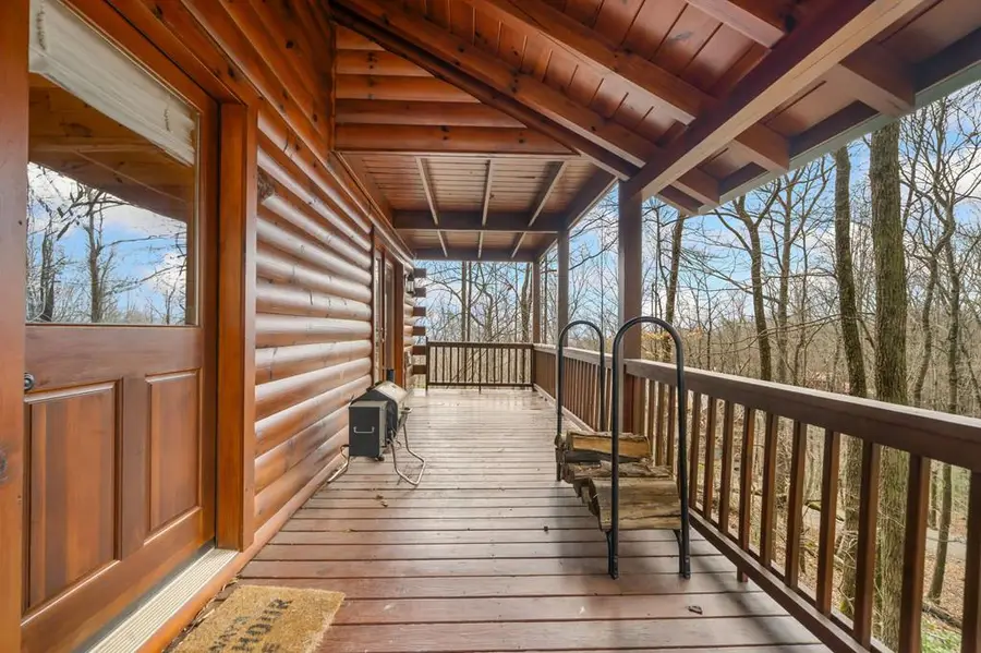 541 Little Bushy Head Road, Cherry Log, GA 30522 - #2