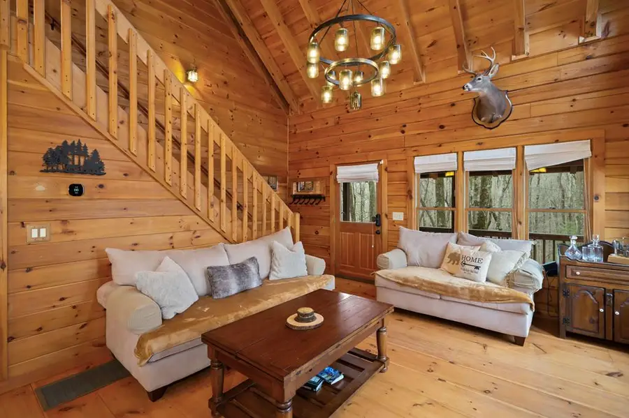 541 Little Bushy Head Road, Cherry Log, GA 30522 - #3