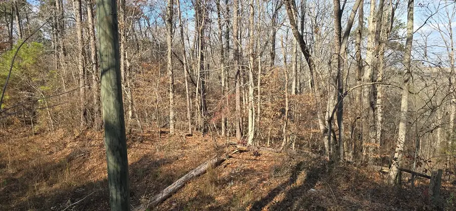 00001 Hwy 369, Ball Ground, GA 30107 - Image #2