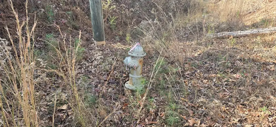 00001 Hwy 369, Ball Ground, GA 30107 - Image #3