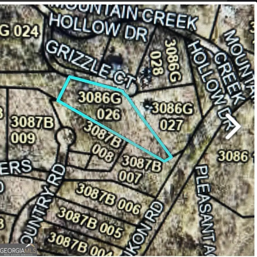 74 Grizzle Court, Ellijay, GA 30540 - #2