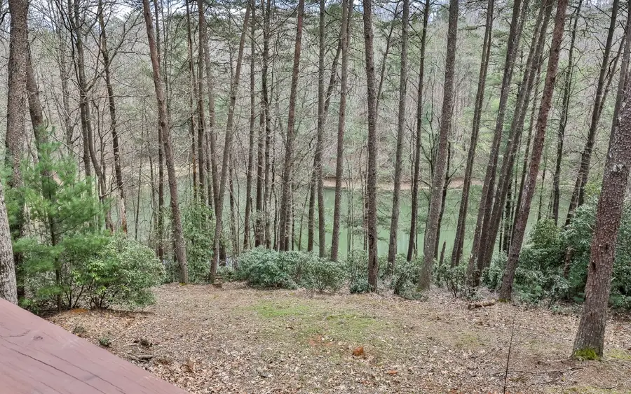 60 Clubhouse Court, Ellijay, GA 30536 - #2