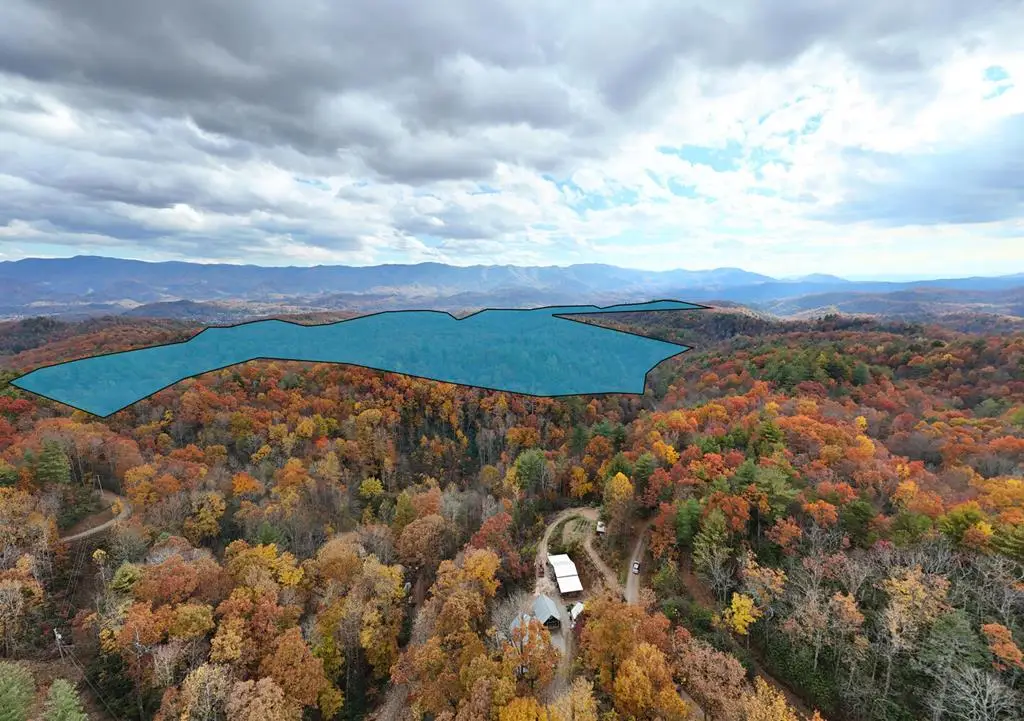 135.49ac Webb Creek Road, Andrews, NC 28901 - Image #1