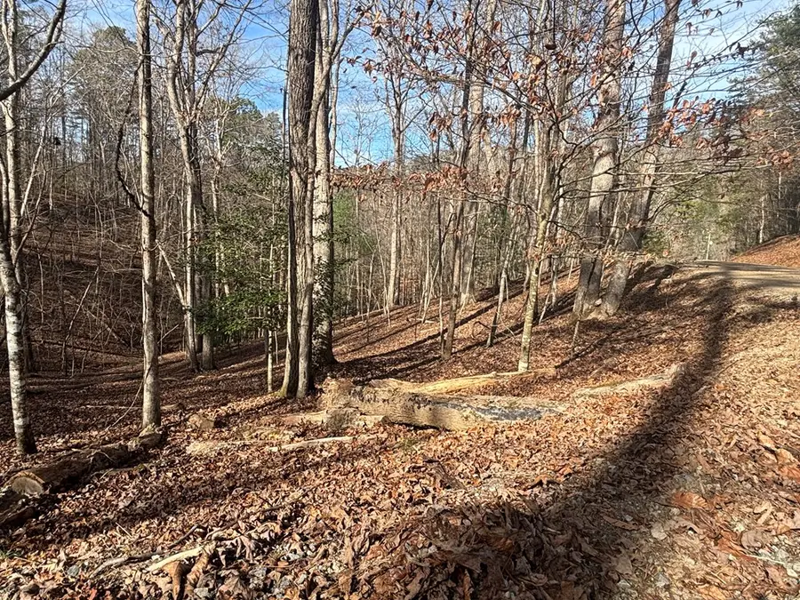 Lt 727 Armor Court, Ellijay, GA 30540 - Image #2