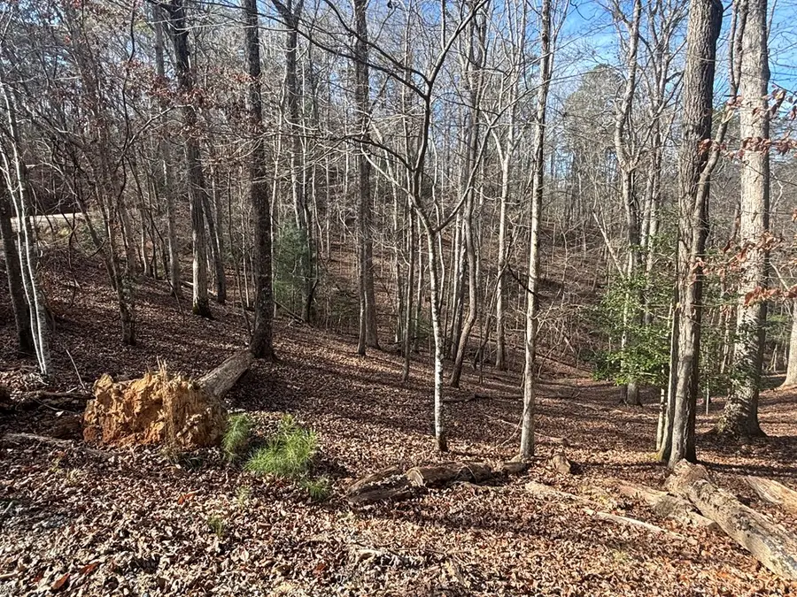 Lt 727 Armor Court, Ellijay, GA 30540 - Image #3