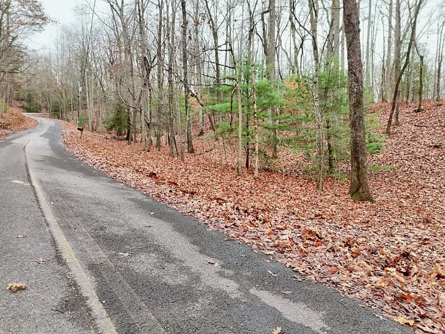 Tract 3 Wilmar Circle, Blairsville, GA 30512 - Image #2