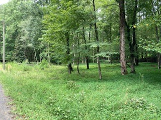 LT 3505R Castle Court, Ellijay, GA 30540 - Image #3