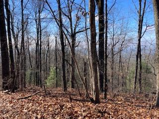 LOT 274 Heron Court, Ellijay, GA 30540