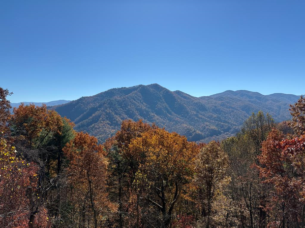 65 Acres Long Branch Road, Topton, NC 28781