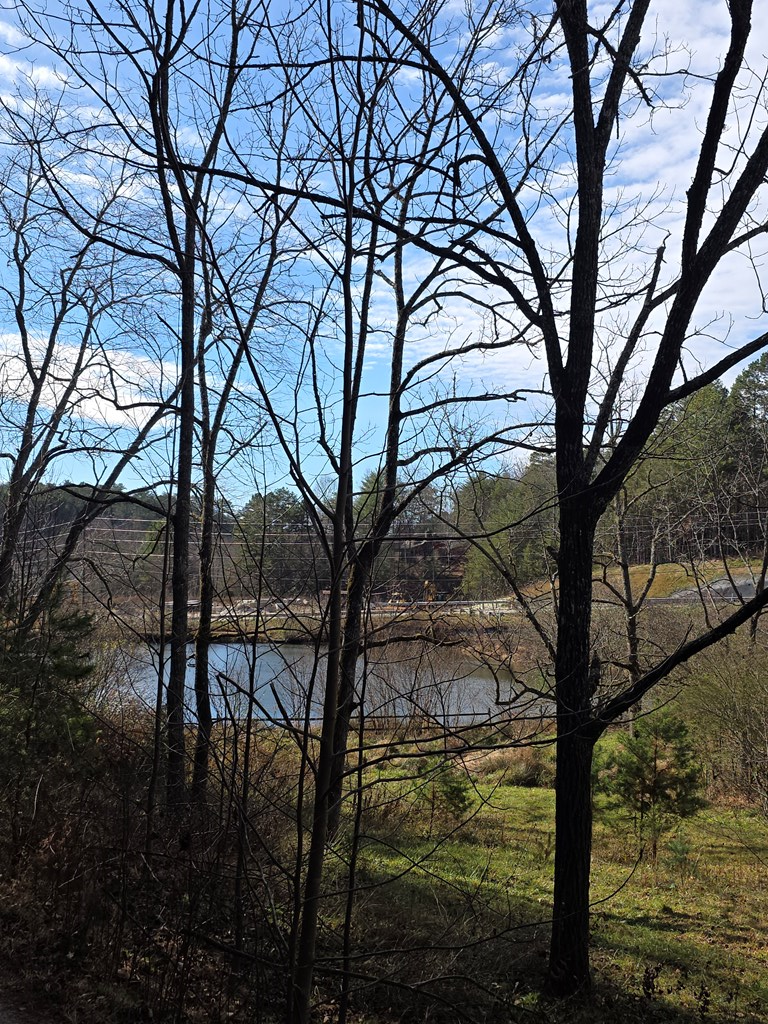 205 Posey Place, Murphy, NC 28906 - Image #3