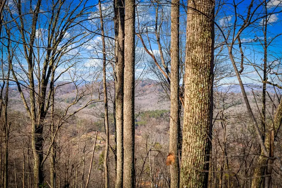 Lot 1 Scouts Overlook, Morganton, GA 30560 - #2