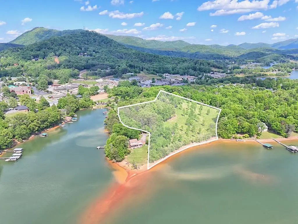 314 Lakeside Drive, Hiawassee, GA 30546 - #1