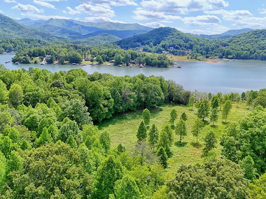 314 Lakeside Drive, Hiawassee, GA 30546 - #3