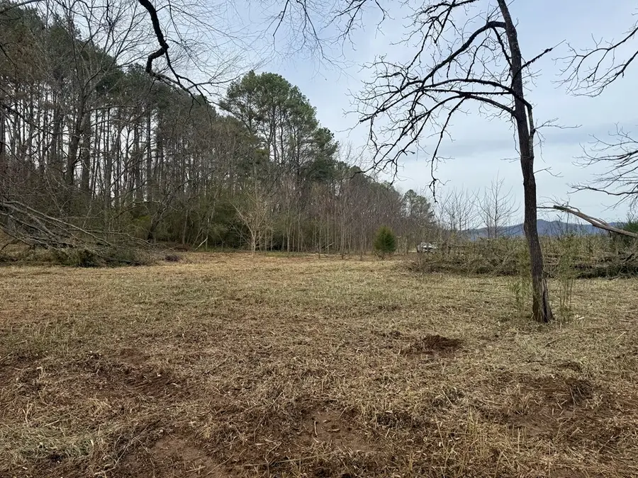 Lot 14 Valley Hideaway Drive, Hayesville, NC 28904 - #3