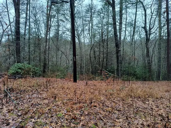 Lot 39 Kells Ridge Drive, East Ellijay, GA 30540