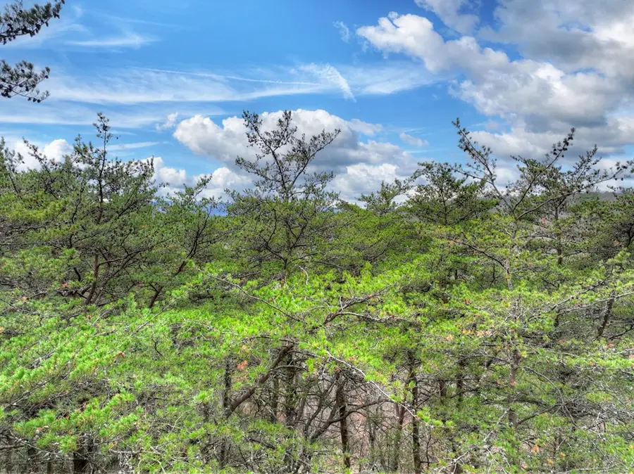 00 Spruill Drive, Ellijay, GA 30536 - #2