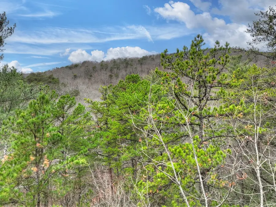 00 Spruill Drive, Ellijay, GA 30536 - #3