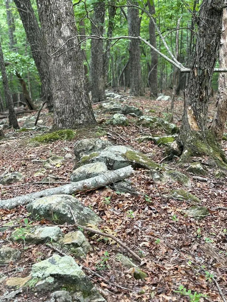 00 Walker Drive, Morganton, GA 30513 - Image #3