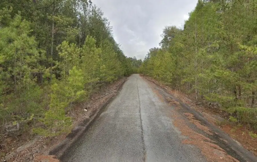 18 Skyline Drive, Braswell, GA 30153 - #2