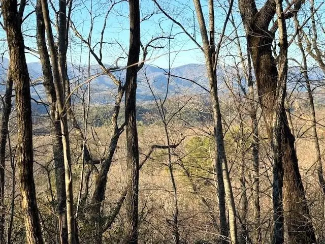 7.0 Laurel Drive, Marble, NC 28905 - Image #1